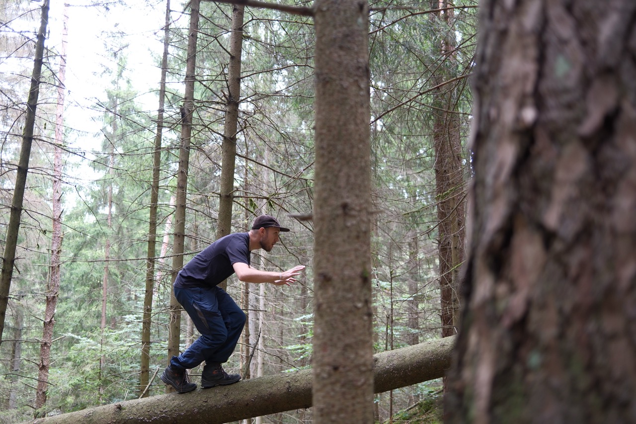 Pieré Stark - Heilpädagoge SkF Würzburg